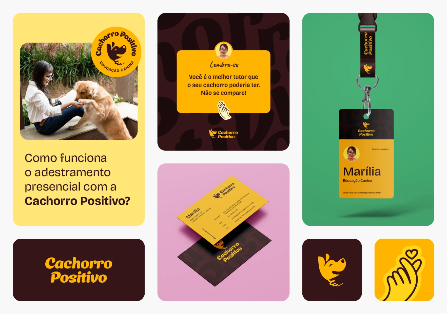 Image 01 of the Cachorro Positivo case