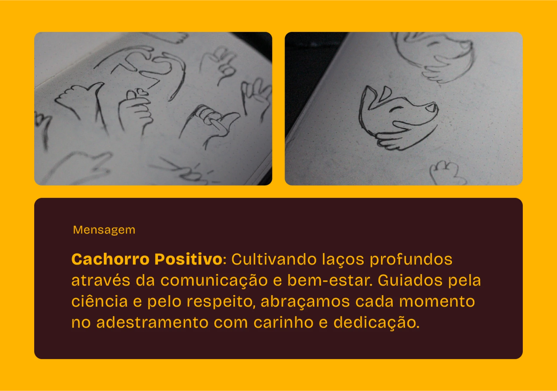 Image 02 of the Cachorro Positivo case