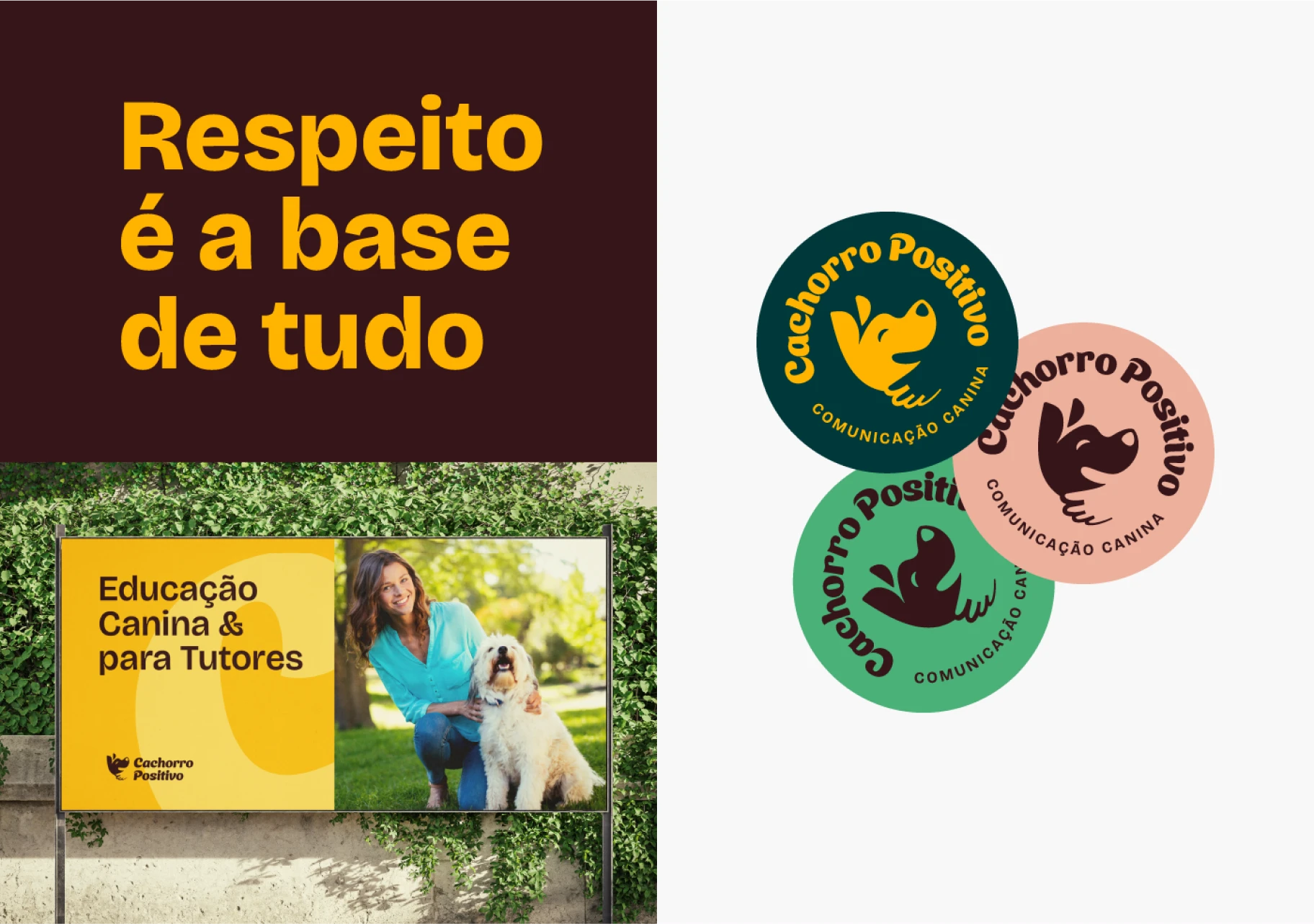 Image 13 of the Cachorro Positivo case