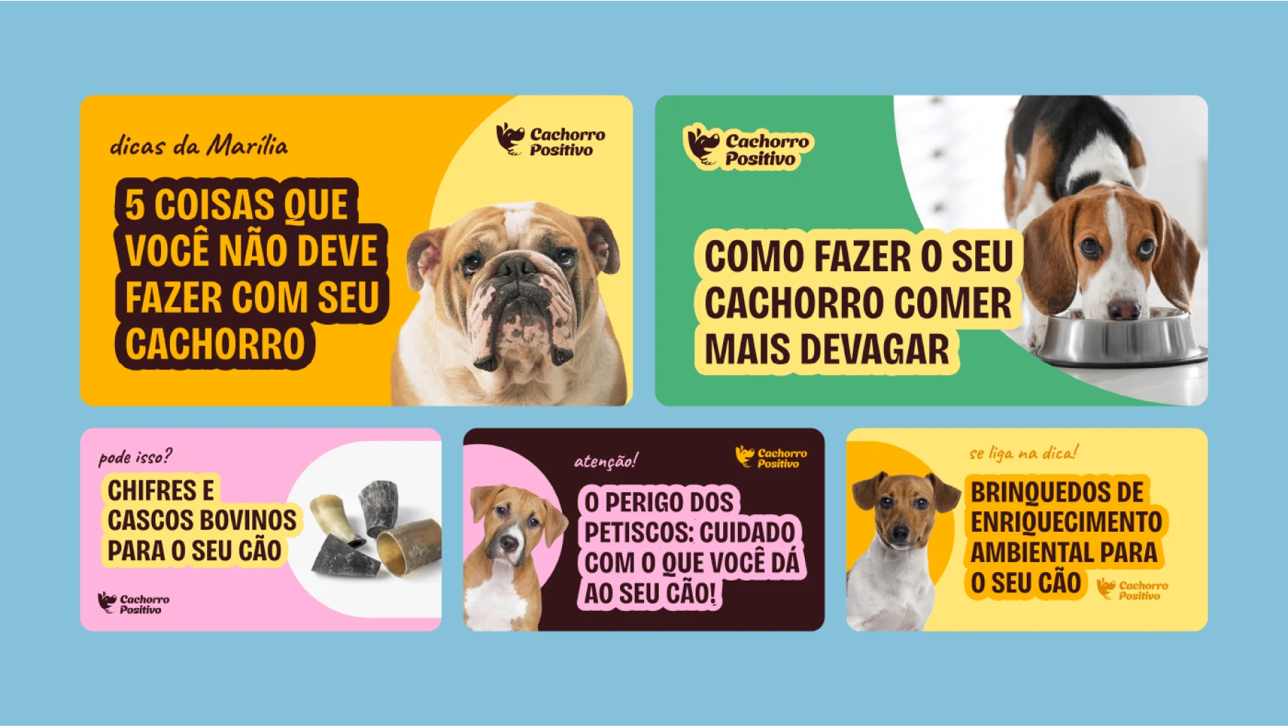 Image 16 of the Cachorro Positivo case