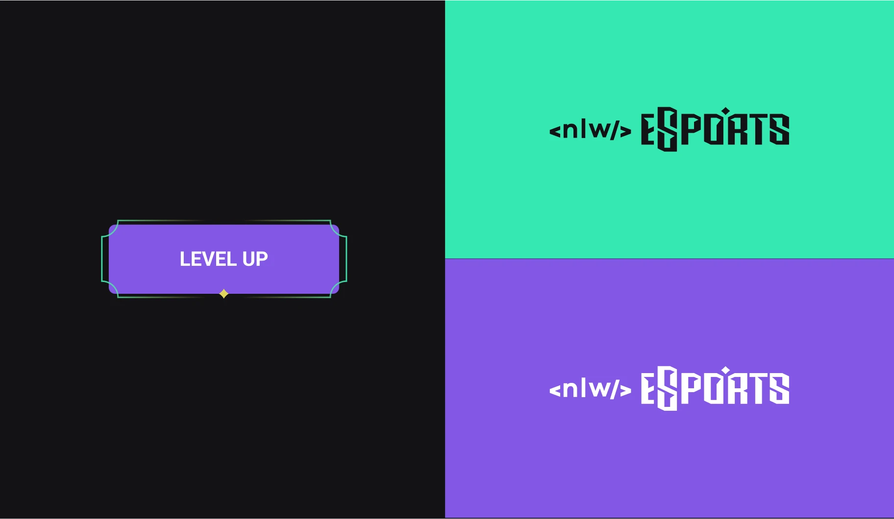 Image 04 of the NLW eSports case