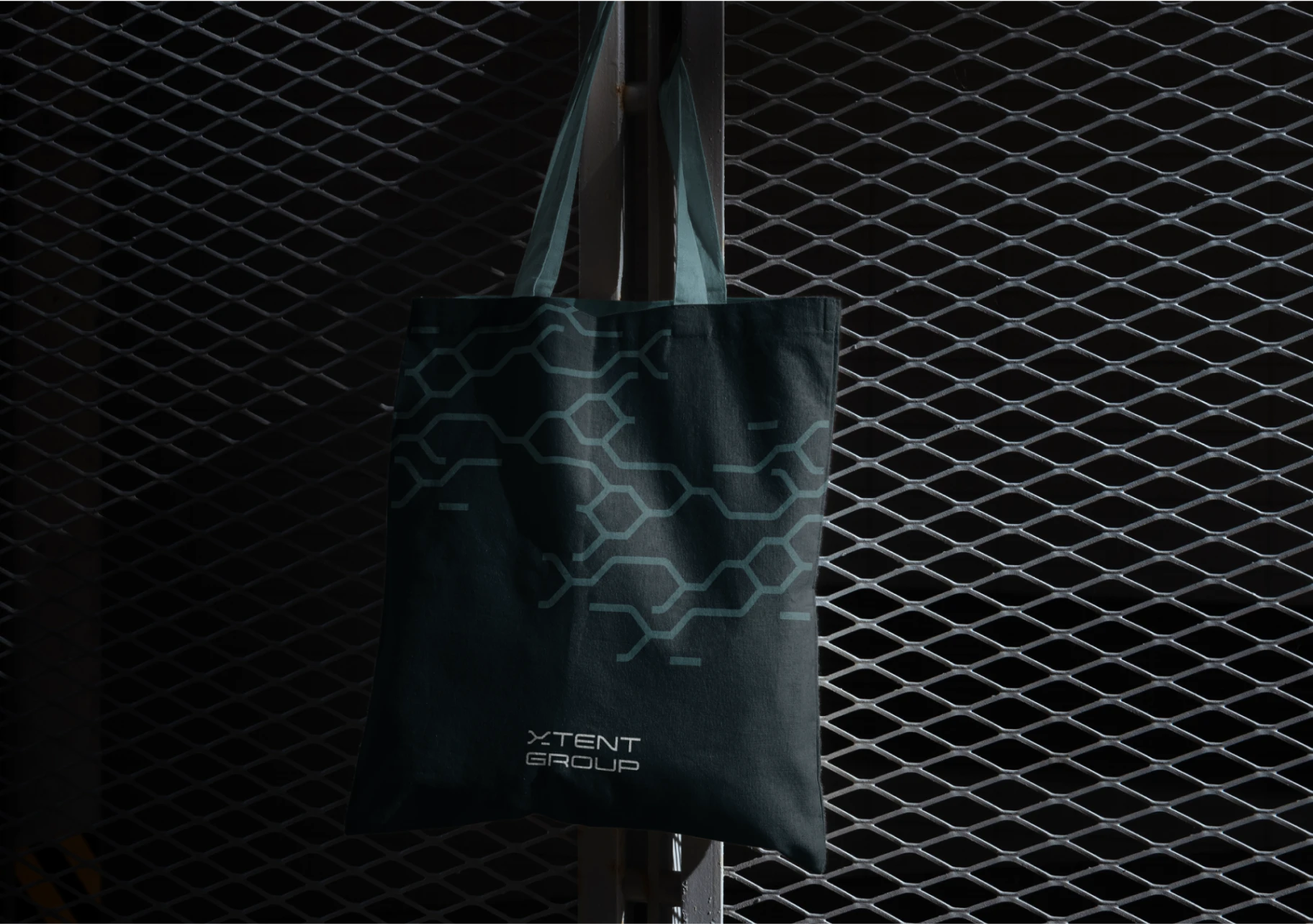 Image 14 of the XTENT GROUP case